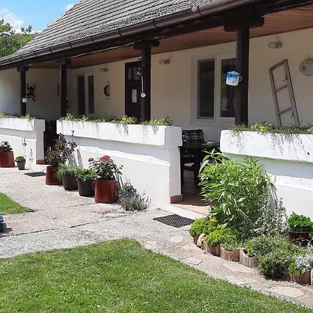 Haus Wegleitner Lägenhet Apetlon Exteriör bild